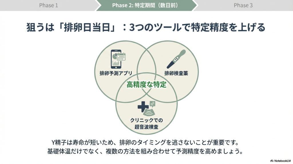排卵予測アプリ、排卵検査薬、クリニックでの超音波検査の3つを組み合わせ、Y精子の寿命に合わせて排卵日当日を高精度に特定するフロー。