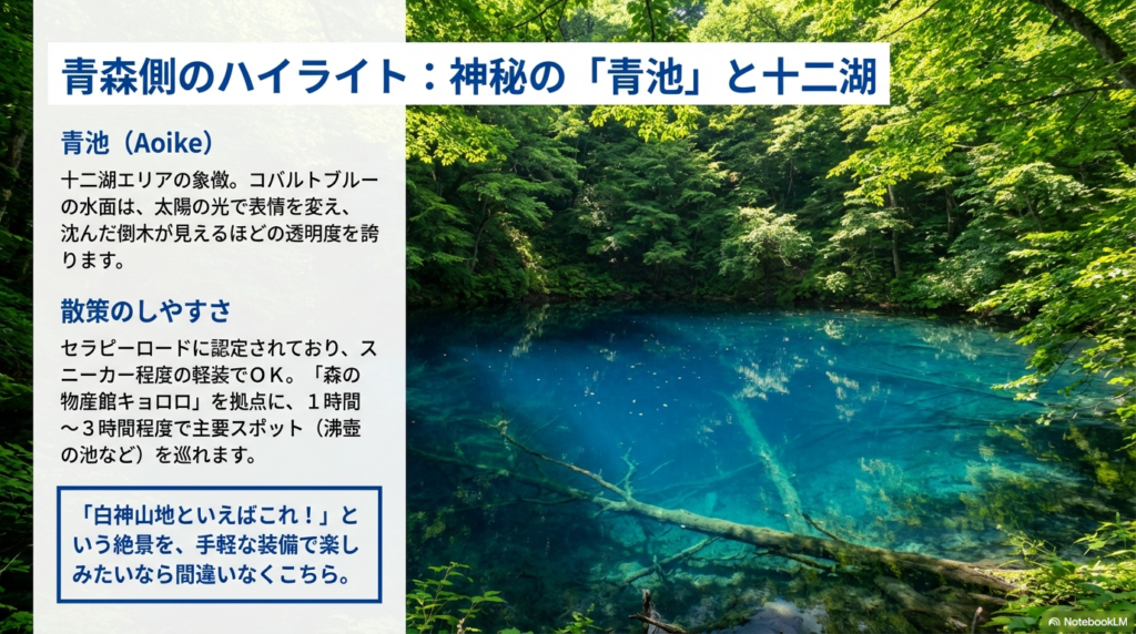 十二湖エリアの象徴であるコバルトブルーの青池の紹介。スニーカーで歩けるセラピーロードや、拠点となる「森の物産館キョロロ」について記載。