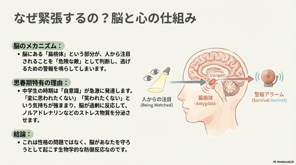 人からの注目を脳の「扁桃体」が感知し、警報アラーム（生存本能）を鳴らす仕組みの図解。思春期特有の自意識の発達が、脳の過剰反応を引き起こす生物学的な防御反応であることを説明しています。