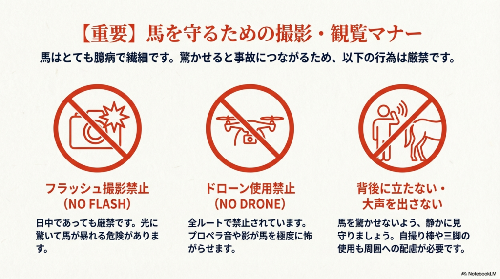 フラッシュ撮影禁止、ドローン使用禁止、馬の背後に立たない、大声を出さないことを示すイラストと、馬が臆病で繊細な動物であることの注意喚起 。